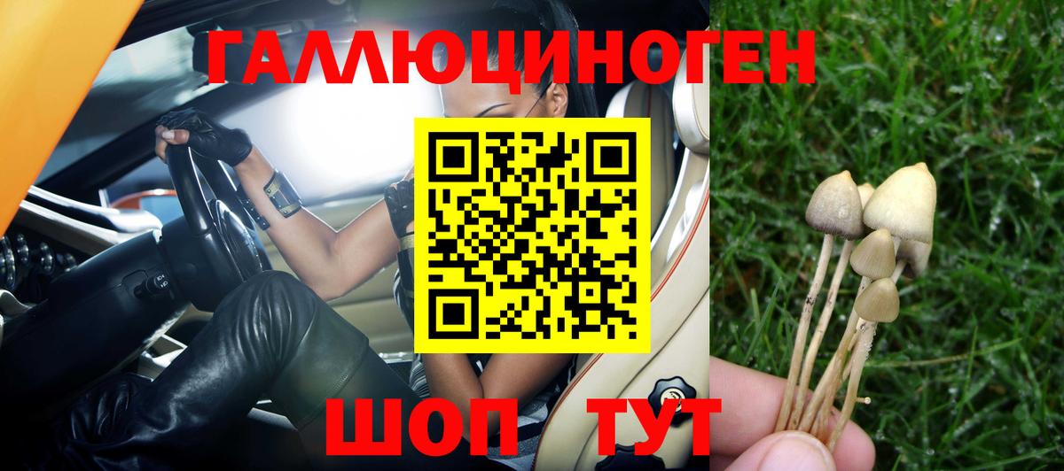 Псилоцибиновые грибы Cubensis  Псилоцибиновые грибы мухоморы  Зима  Вход с VPN 